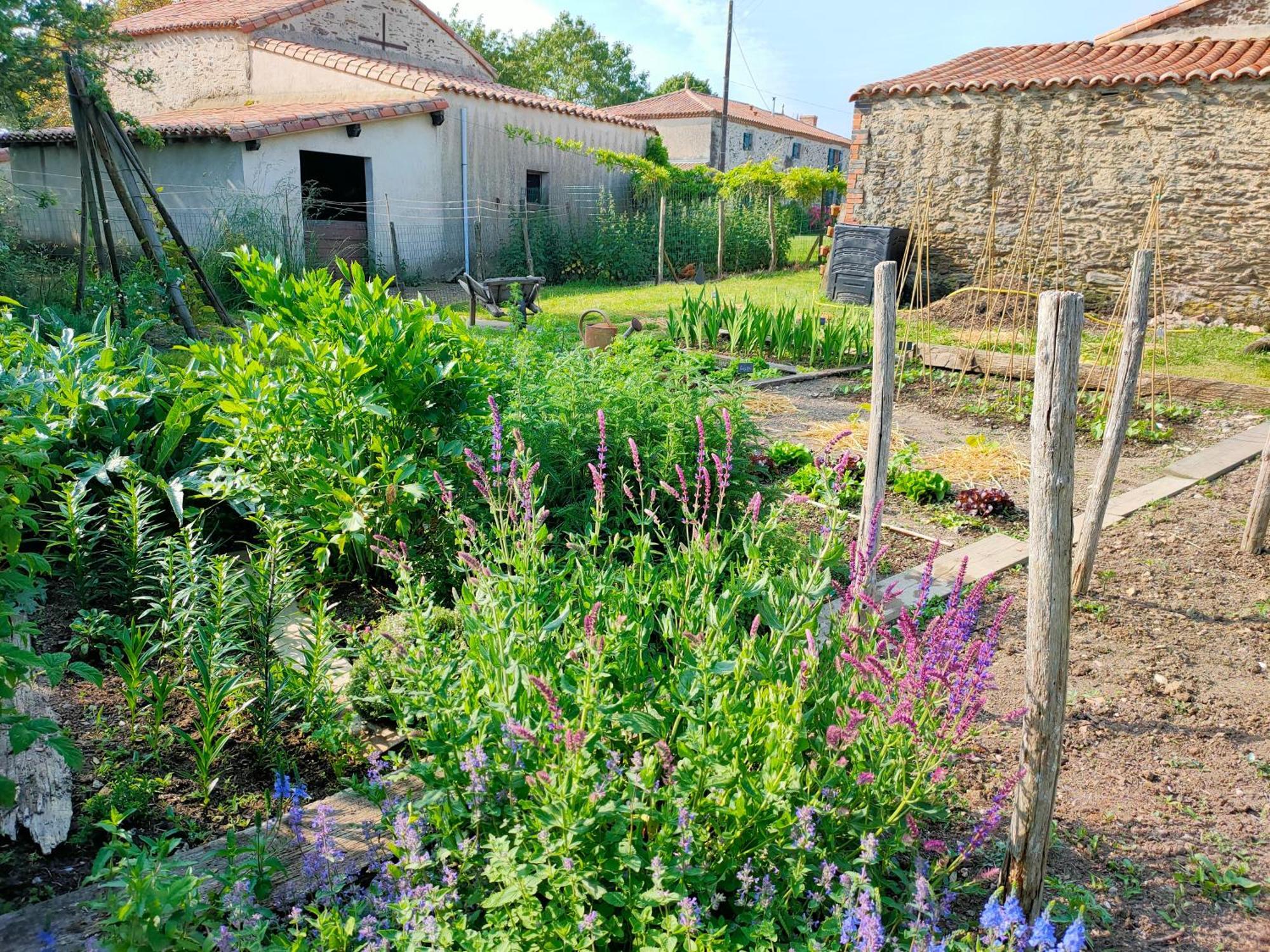 Le Vieux Logis De La Galocherie Sainte-Florence 外观 照片